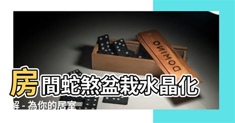 蛇煞化解|【房間蛇煞化解】房間蛇煞盆栽水晶化解